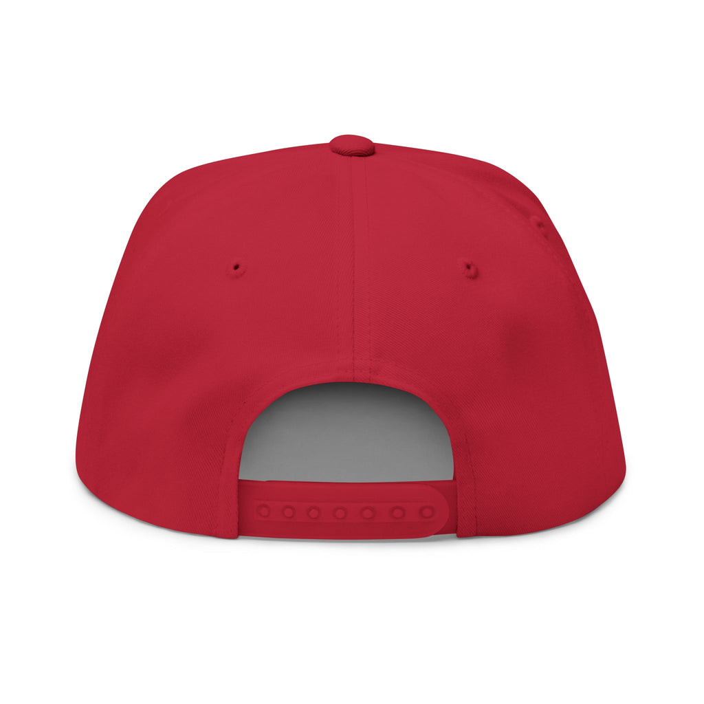 IN USWE Trust Legacy  embroidered flat bill cap | snapback